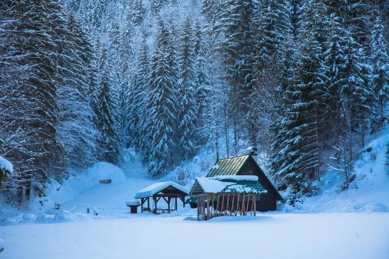 a cabin in the middle of a snowy forest, inspired by Luigi Kasimir, pexels contest winner, renaissance, teal landscape, romanian heritage, thumbnail, huts