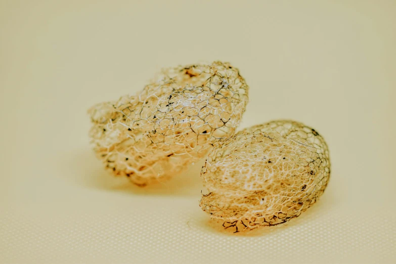 a couple of nuts sitting on top of a table, a macro photograph, unsplash, net art, yellow translucent lace, tremella fuciformis, knitted mesh material, detailed jewellery