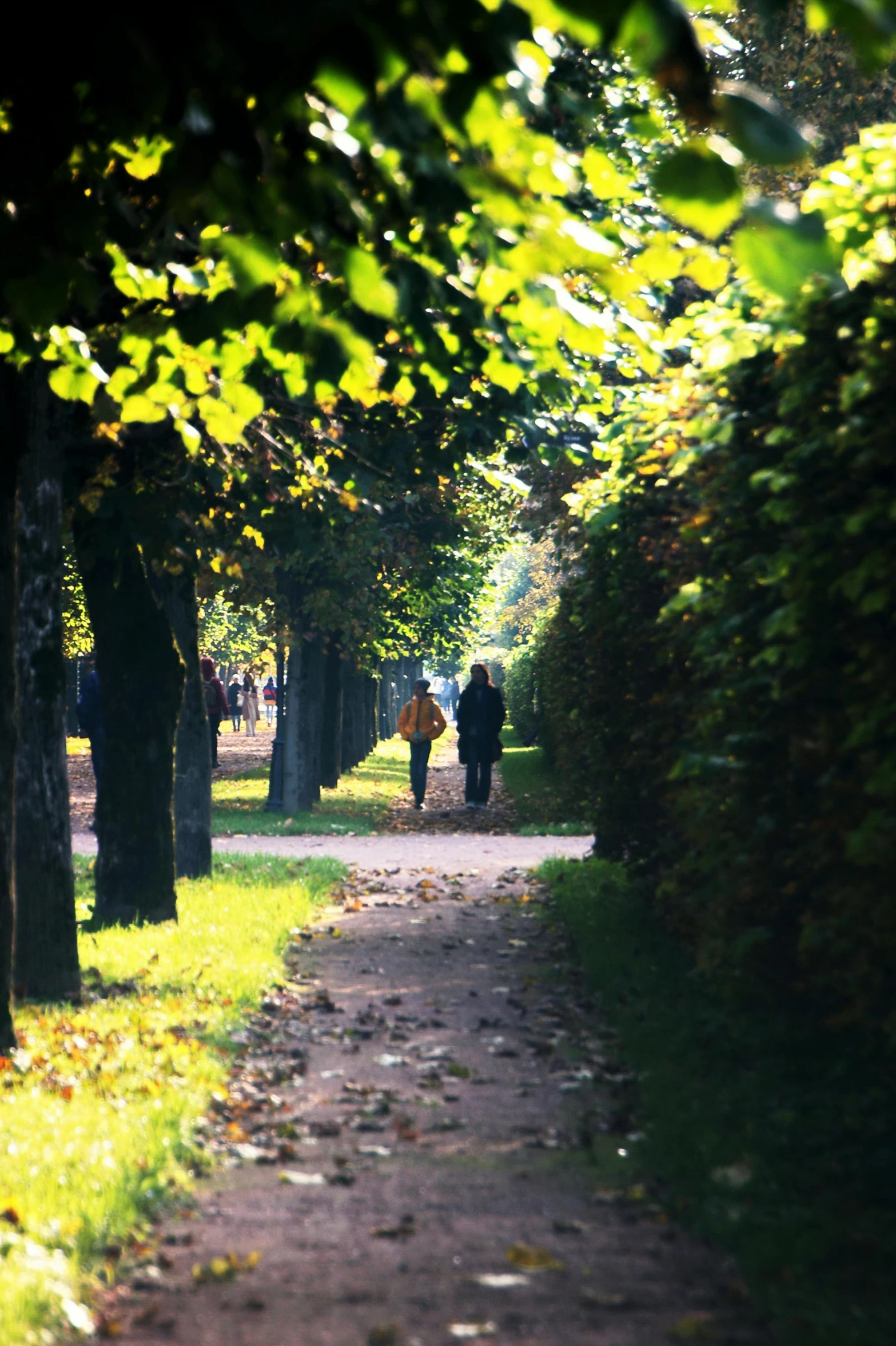 a couple of people that are walking down a path, berlin park, shade, saint petersburg, no crop