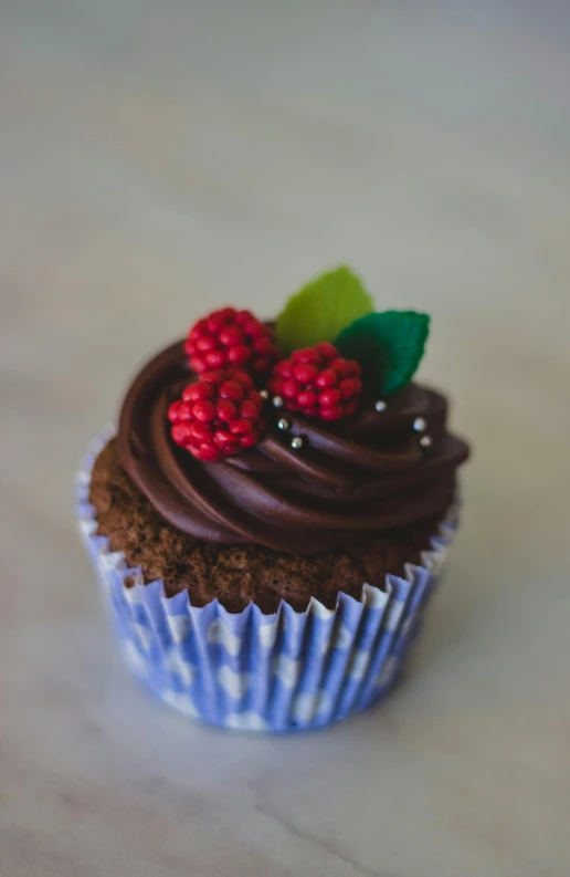 a cupcake with chocolate frosting and raspberries on top, pexels, thumbnail, mini model, small, berries