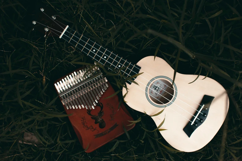 a white guitar sitting on top of a lush green field, an album cover, by Julia Pishtar, pexels contest winner, hurufiyya, ukulele, tiny sticks, multiple guitars, flatlay