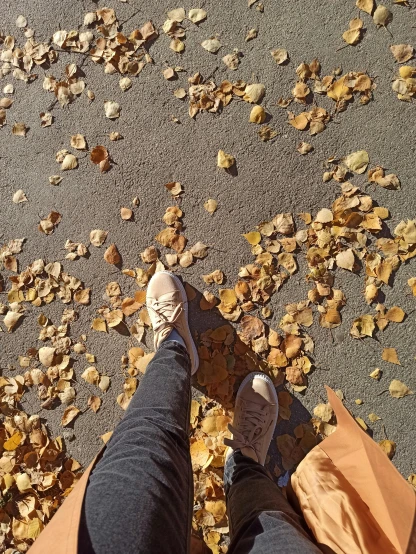 a person standing in front of a pile of leaves, seasons!! : 🌸 ☀ 🍂 ❄, sneaker photo, highly detailed # no filter, walking over you
