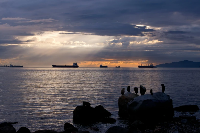 a group of birds sitting on top of a rock next to the ocean, by Doug Ohlson, pexels contest winner, romanticism, ships in the harbor, calm evening, vancouver, shipfleet on the horizon