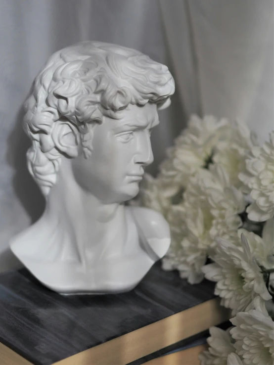 a vase filled with white flowers next to a bust of a man, a statue, inspired by Antonio Canova, trending on unsplash, portrait of timothee chalamet, with curls, detailed product shot, with a fringe