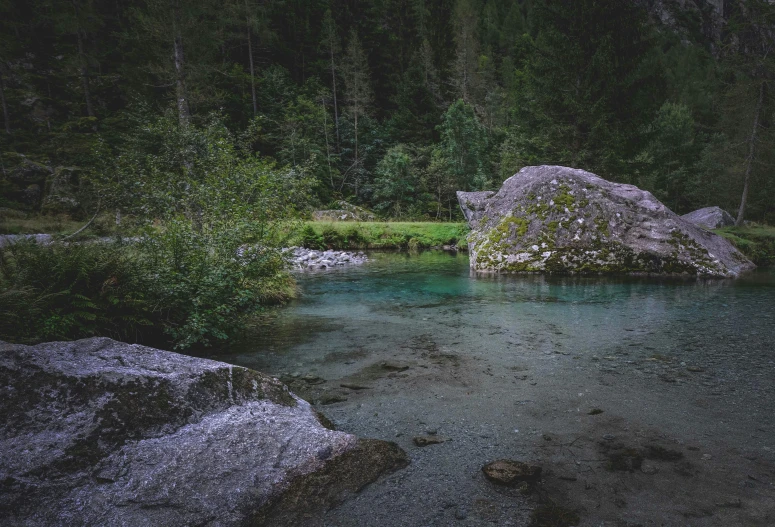 a body of water surrounded by trees and rocks, slovenian, dark green water, album, near pond