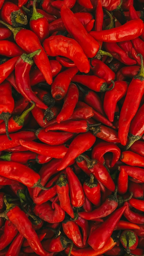 a pile of red hot peppers sitting on top of each other, pexels, hurufiyya, thumbnail, shot on sony a 7, rectangle, product shot