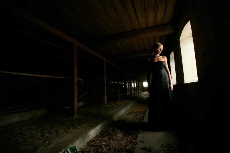 a woman in a black dress standing in an abandoned building, an album cover, unsplash, barn, medium format. soft light, farming, taken in the late 2000s