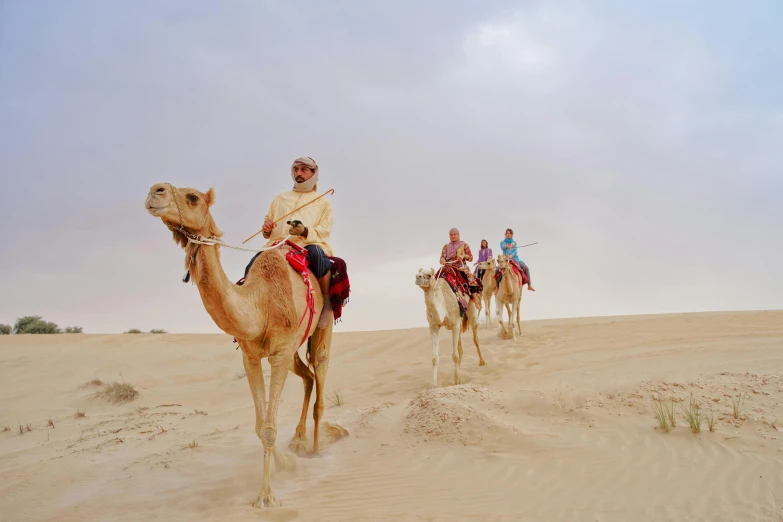 a group of people riding on the backs of camels, by Peter Churcher, 4 k image, fan favorite, al - qadim, shot with premium dslr camera