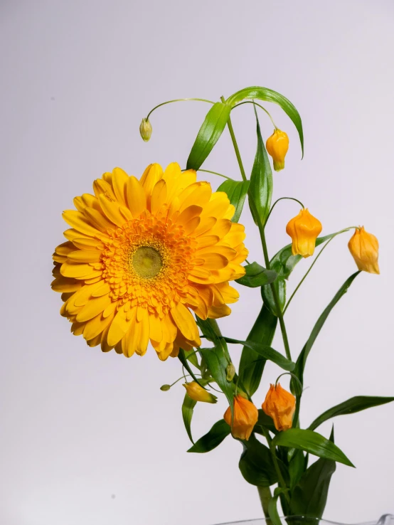 a vase filled with yellow flowers on top of a table, product view, marigold, detail shot, ikebana