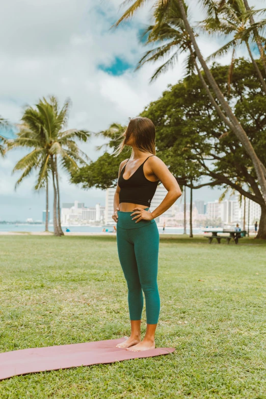 a woman standing on a yoga mat in a park, by Nicolette Macnamara, posing in waikiki, leggings, green pastures stretch for miles, profile image