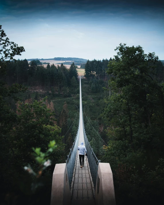 a man is walking across a suspension bridge, by Sebastian Spreng, pexels contest winner, overlooking a valley with trees, non-binary, pewdiepie selfie at a bridge, overlooking