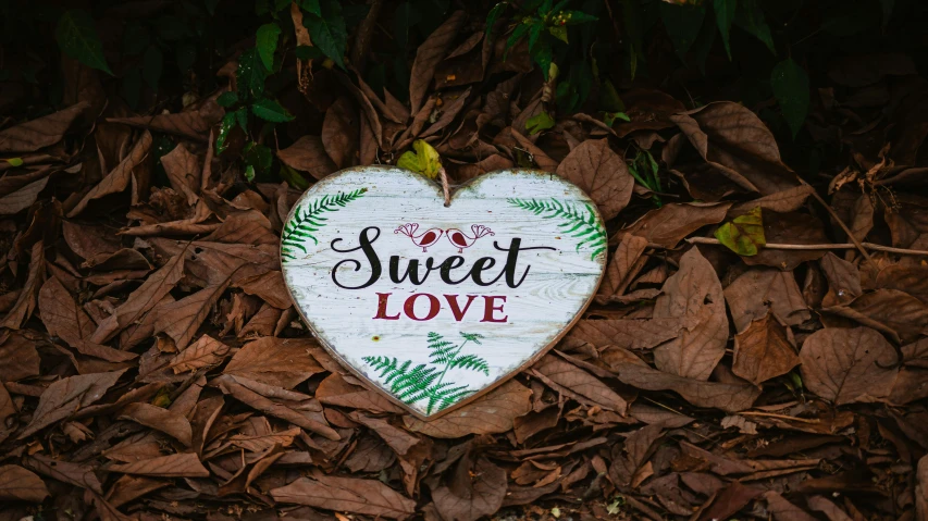 a wooden sign that says sweet love surrounded by leaves, by Sylvia Wishart, pexels, 1 6 x 1 6, heart, dessert, white