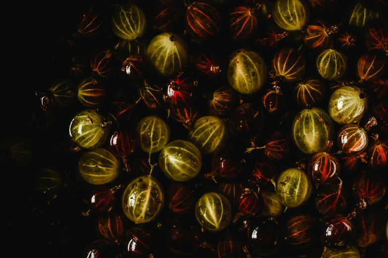 a bunch of fruit sitting on top of a table, an album cover, inspired by Elsa Bleda, trending on unsplash, hurufiyya, golden orbs and fireflies, olive green and venetian red, 4 k hd wallpapear, translucent orbs