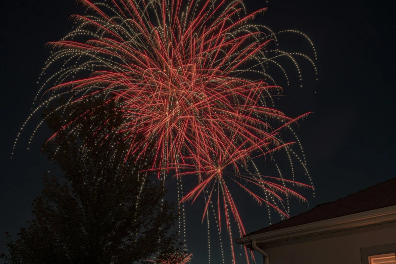 a firework is lit up in the night sky, by Carey Morris, portrait image