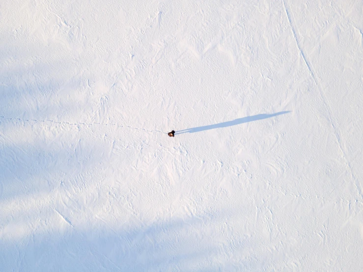 a person riding a snowboard down a snow covered slope, by Jesper Knudsen, pexels contest winner, land art, perfect shadow, aerial, inuit heritage, slightly minimal