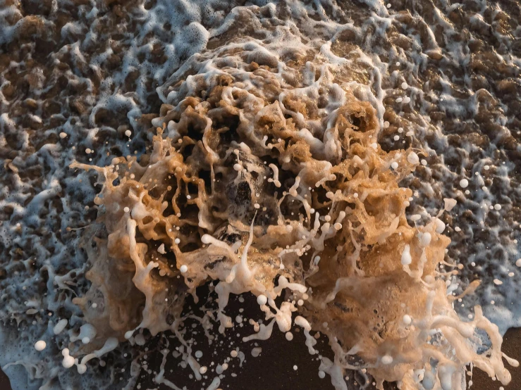a person standing on top of a beach next to the ocean, a microscopic photo, by Matt Cavotta, unsplash, conceptual art, swimming in a pool of coffee, foamy waves, brown mud, insanely detailed octane render