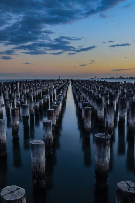 a large body of water surrounded by wooden posts, by Peter Churcher, unsplash contest winner, melbourne, 8k resolution”, evenly lit, many columns