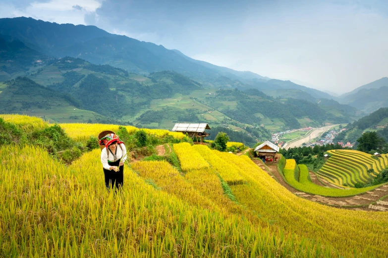 a woman standing on top of a lush green hillside, by Dan Content, pexels contest winner, sumatraism, vietnam war, immaculate rows of crops, avatar image, bright vivid colors