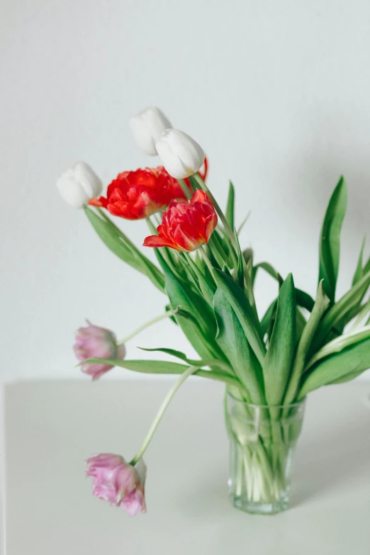 a vase filled with red and white tulips, a still life, pexels, romanticism, clean minimalist design, pink orange flowers, multiple stories, low detail