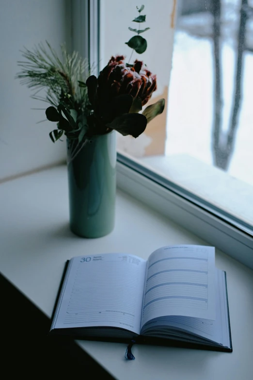 an open book sitting on a window sill next to a vase of flowers, holding notebook, january and february, hay, looking off to the side