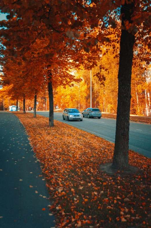 a couple of cars driving down a street next to trees, by Ivan Grohar, pexels contest winner, autumn leaves on the ground, 15081959 21121991 01012000 4k, in russia, complementary colours