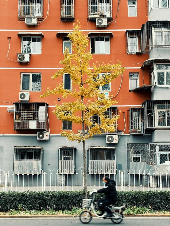 a person riding a bike in front of a tall building, red orange and yellow leaves, standing outside a house, yuxiang chen, with a tree in the background