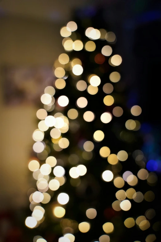 a lighted christmas tree in a dark room, pexels, bokeh dof sky, morning golden hour, out of focus, tall