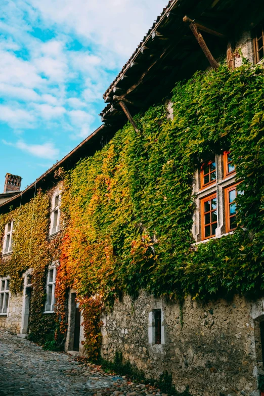 an old building with ivy growing on the side of it, pexels contest winner, romanesque, autumn colors, quaint village, panoramic shot, multiple stories