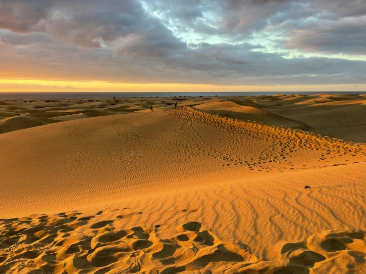 a person standing on top of a sand dune, during a sunset, profile image, golden bay new zealand, ancient ruins under the desert