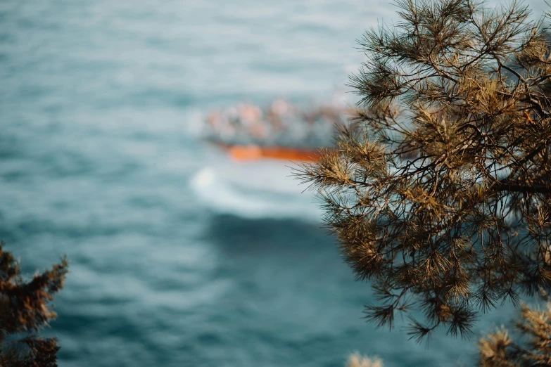 a boat that is out in the water, a tilt shift photo, inspired by Elsa Bleda, unsplash contest winner, romanticism, pine tree, mediterranean, high quality product image”, shot on sony a 7 iii