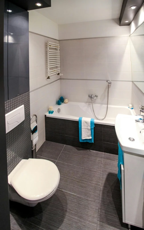 a bath room with a toilet a sink and a bath tub, grey and blue theme, photo taken from above, panzer, profile image