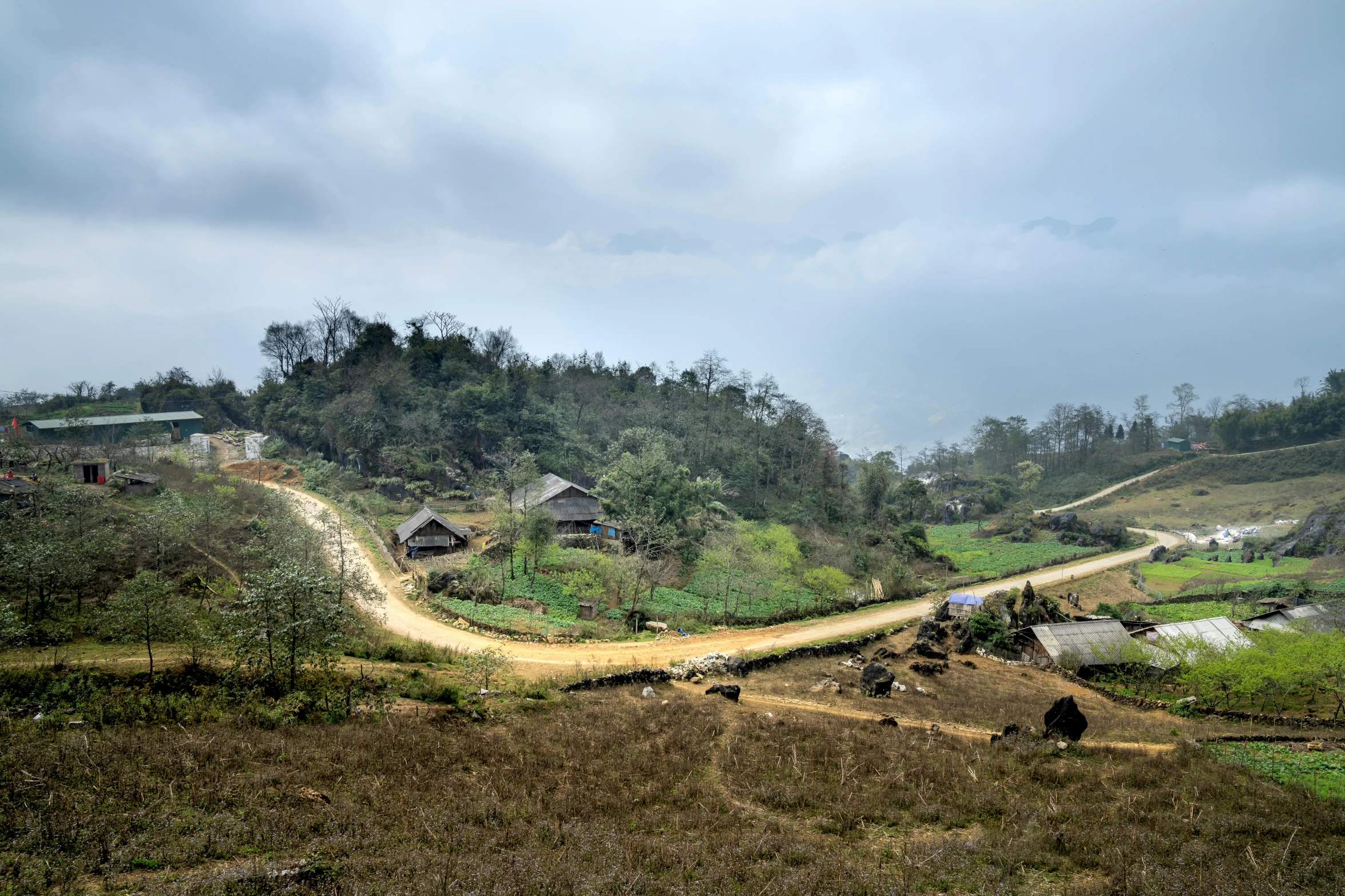 a dirt road running through a lush green field, an album cover, pexels contest winner, happening, old asian village, staggered terraces, grey, panoramic