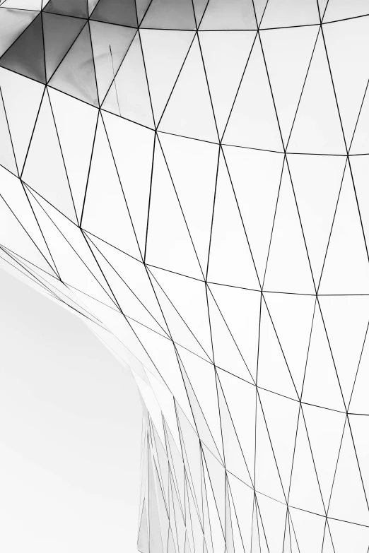 a black and white photo of a building, an abstract drawing, inspired by Zha Shibiao, unsplash contest winner, geodesic, white space, wire, glossy white