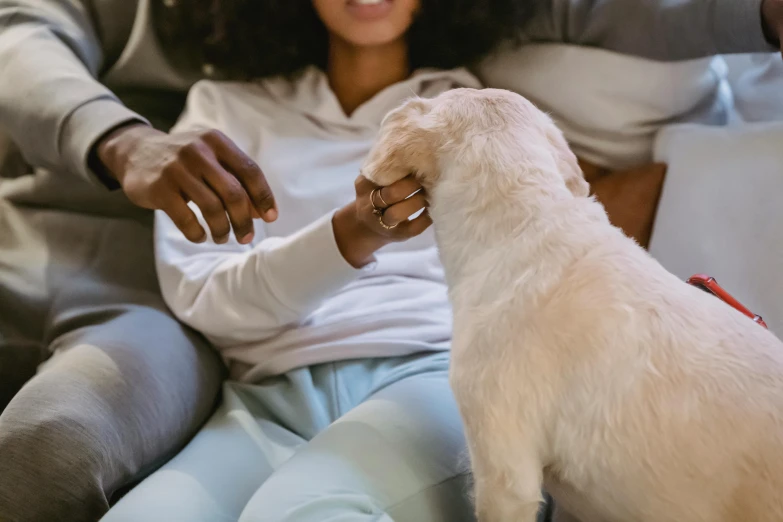 a woman sitting on a couch petting a white dog, trending on pexels, renaissance, sitting on man's fingertip, pregnancy, small details, essence