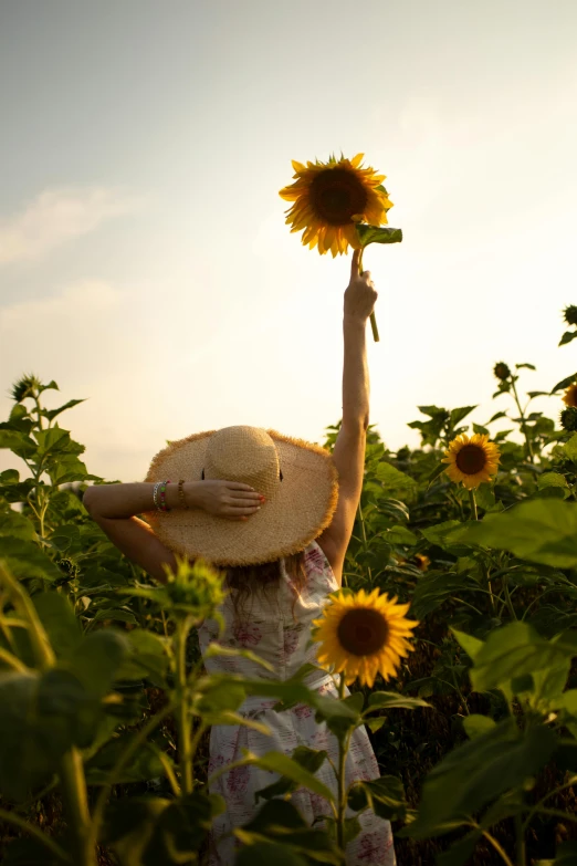 a woman holding up a sunflower in a field, by Yasushi Sugiyama, pexels contest winner, with straw hat, with arms up, soft light, instagram photo