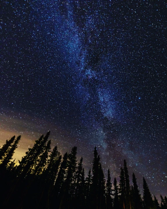 a night sky filled with lots of stars, an album cover, trending on unsplash, boreal forest, the milk way, immensity, 🌲🌌