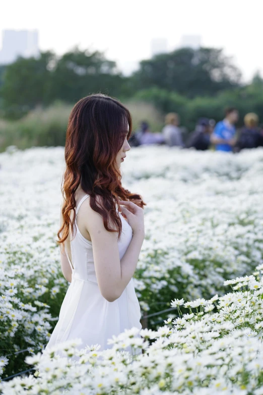 a woman standing in a field of white flowers, by Wen Zhenheng, unsplash, better known as amouranth, concert, curls, no cropping