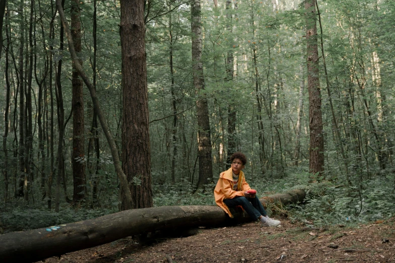 a person sitting on a log in the woods, an album cover, inspired by Elsa Bleda, pexels contest winner, ashteroth, leica 8k still from an a24 film, reading, spontaneous portrait