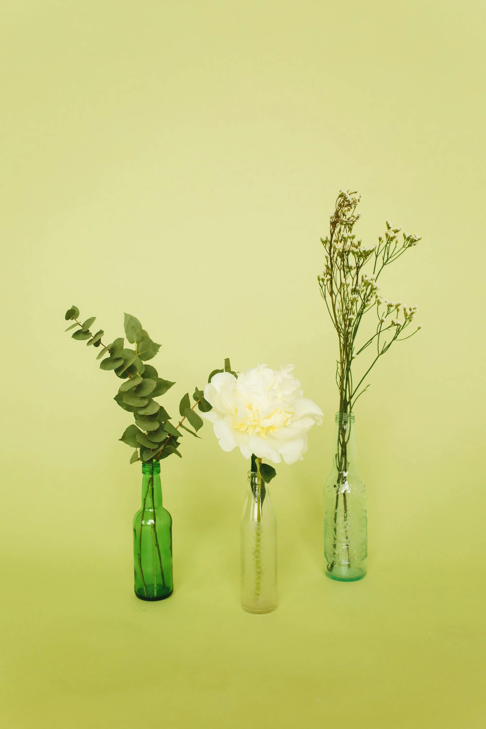 three vases filled with different types of flowers, inspired by Elsa Bleda, unsplash, minimalism, light green, bottle, on clear background, tall shot