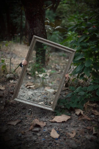 a mirror sitting in the middle of a forest, a picture, by Elsa Bleda, unsplash, conceptual art, square, medium portrait, sean yoro, picture frames