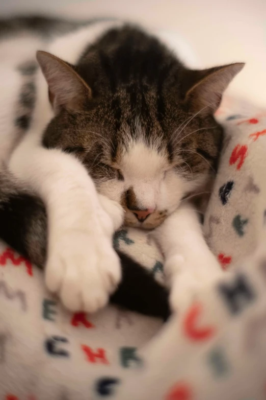 a close up of a cat sleeping on a bed, sick with a cold, mittens, soft lulling tongue, tom