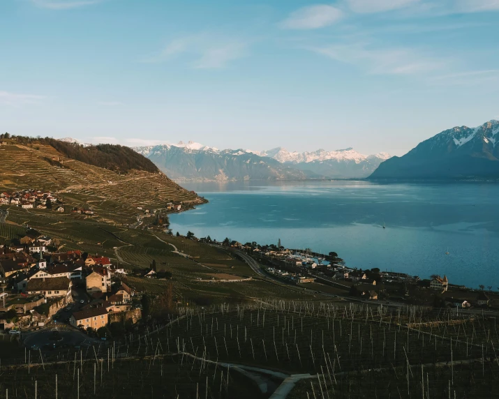 a large body of water sitting next to a lush green hillside, by Daniel Lieske, pexels contest winner, happening, swiss architecture, wine, icy mountains in the background, top down view