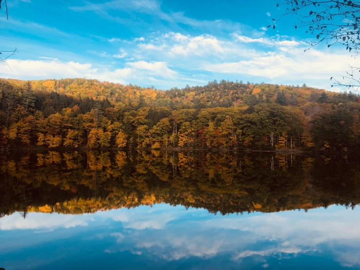 a large body of water surrounded by trees, by Julia Pishtar, pexels contest winner, hudson river school, in karuizawa, golden colors, 2 5 6 x 2 5 6 pixels, mirrored