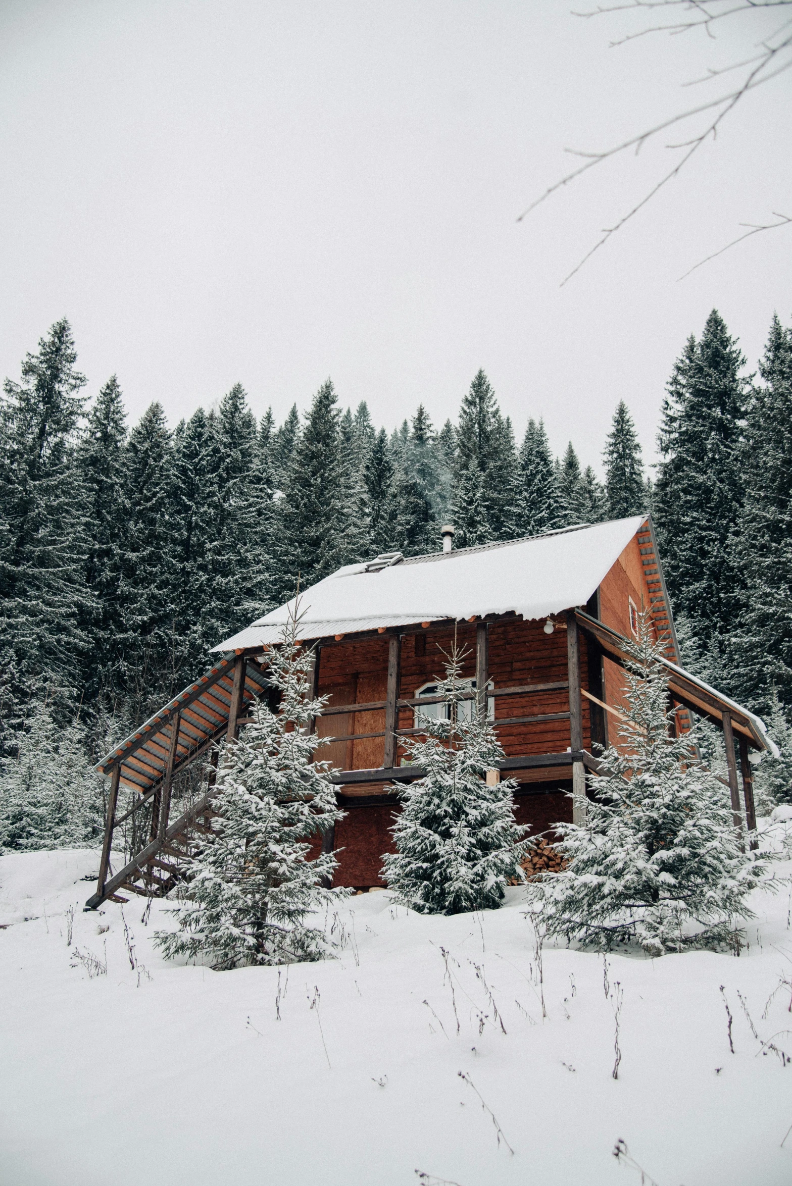 a cabin in the middle of a snowy forest, profile image, slovakia, covered!, glamping