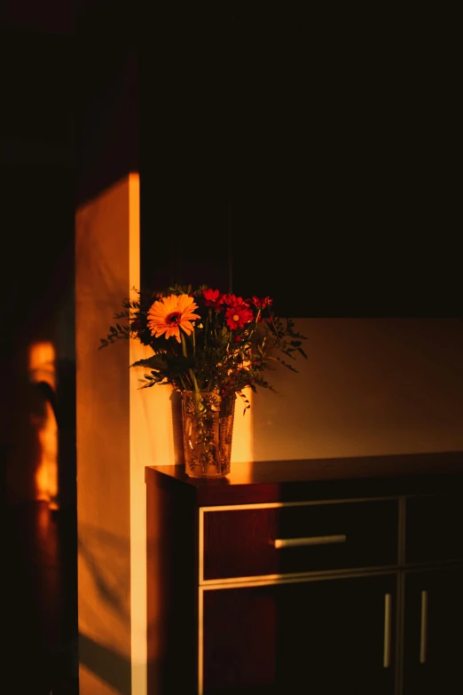 a vase of flowers sitting on top of a dresser, by Niko Henrichon, unsplash, romanticism, sunset lighting ominous shadows, red and yellow light, light coming from the entrance, side lighting