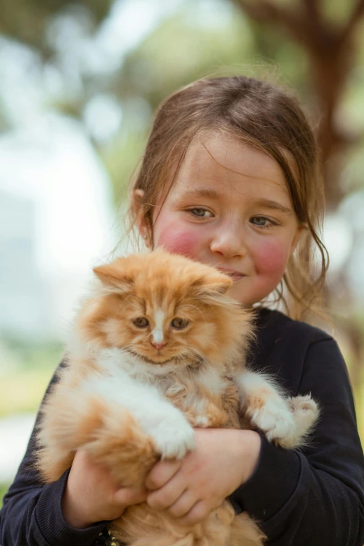 a little girl holding a cat in her arms, a portrait, shutterstock contest winner, australian, orange fluffy belly, local close up, beautiful surroundings