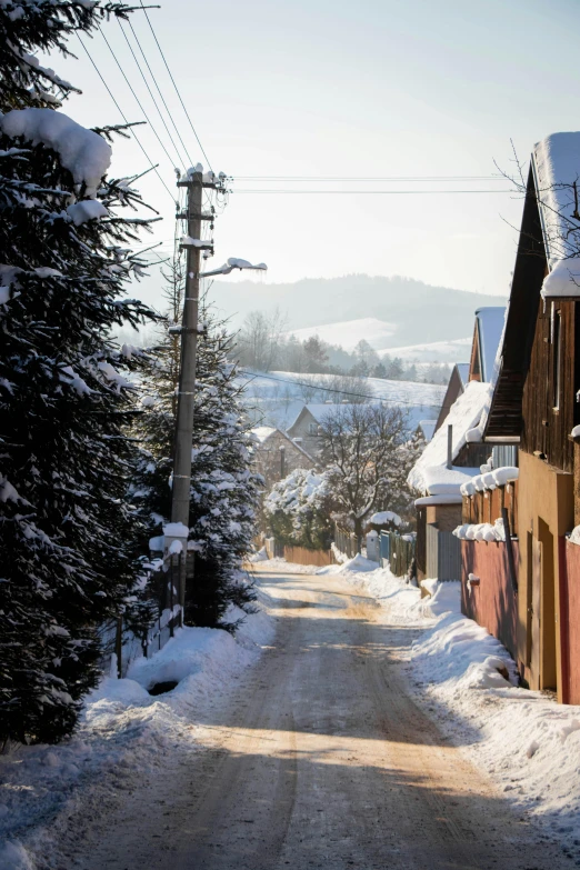 a street filled with lots of snow next to tall trees, inspired by Jan Kupecký, pexels contest winner, renaissance, thatched roofs, hilly road, colour photograph, square