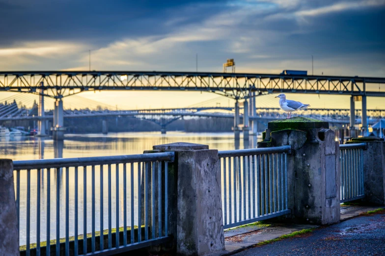 a bridge over a body of water under a cloudy sky, pexels contest winner, ballard, soft morning light, bridges and railings, white