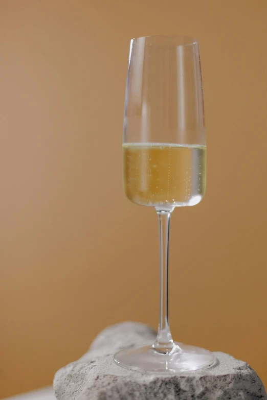 a glass of wine sitting on top of a rock, inspired by Jacopo Bellini, soap bubbles, blond, but minimalist, champagne