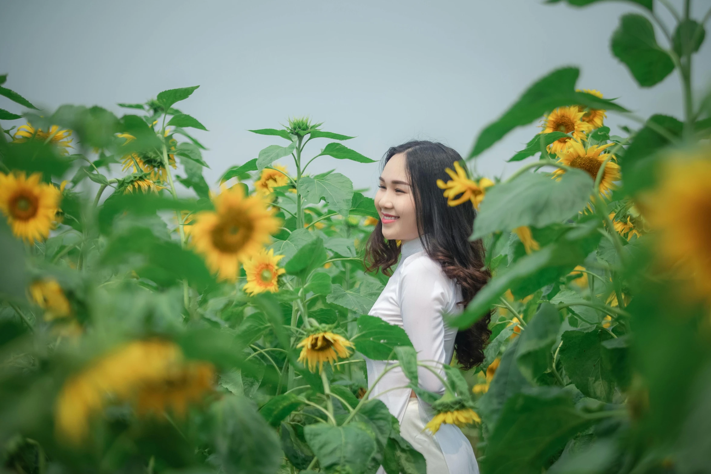 a woman standing in a field of sunflowers, inspired by Xie Sun, pexels contest winner, ao dai, white, avatar image, happy expression